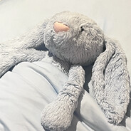 把锅放下你尔多隆吗