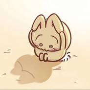 小狐狸也曾来洱海跑步