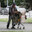 Homeless Man