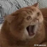 挨毒打的11号选手