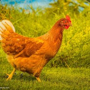 我可是你亲祖宗!