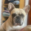 ✪ FranCh3&#039;