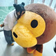 我担Hanni怎么你了