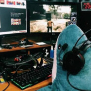 你知道我什么成分，来找我吧