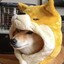 Shibber Iner