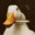 Mike Duck's avatar