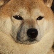 磁暴步兵杨永信