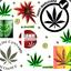 CannaBIs