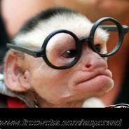 | S.o.a.R | Xtrem - DK