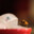 Obese Caterpillar avatar