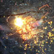 盗号dog全家death