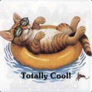 Fallen - steam id 76561197960770103