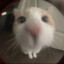 SquiddyBoithe1st