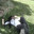 amnyamzxckiller228