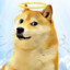 Rex The Angel Doge