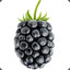 Blackberry™