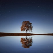 Coward of Rohan - steam id 76561197971021347