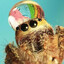 Spooder