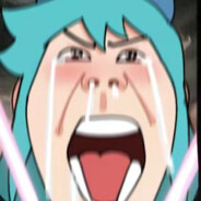 狗熊岭建设兵团光头猹