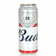 pivo