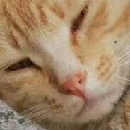 人生有梦各自精彩