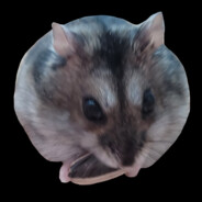 و(ᐢ⋟  ̫  ⋞ ᐢ)٩   —