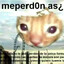 BeenerMcMestizo