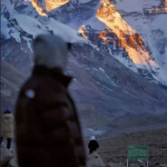 人偶 z.（400+-）