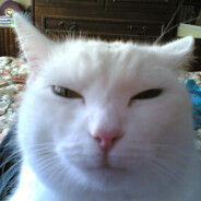 ксюшакрутая2004 - steam id 76561198138899925