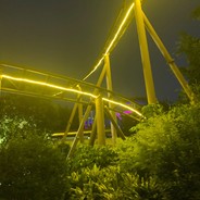 玩家头像