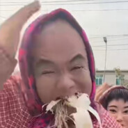 幻兽帕鲁我不怕