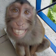 DaHuJi_KoJibaceHko