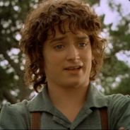FRODOBAGGINS