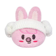 数据库代表委员