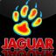 jaguar_45