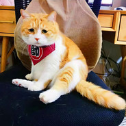 吃完火锅不洗碗