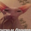 Дилер бананов