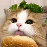 故事总细水长流