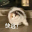 开庭带上你的篮球