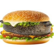 Seal borgor