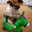 pug_loco