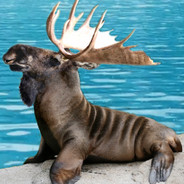 Sea Moose