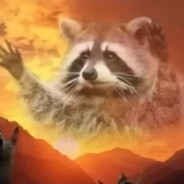 TIMELESS racoon