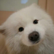 小孩永远勇敢做自己