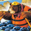 Blueberry Bear