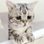lil peep)