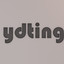 YDTING