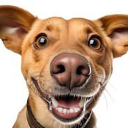 хип хоп матюки