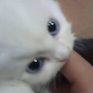 14岁不爱看平泽唯.