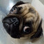 (MOPS) ПAGAНKA